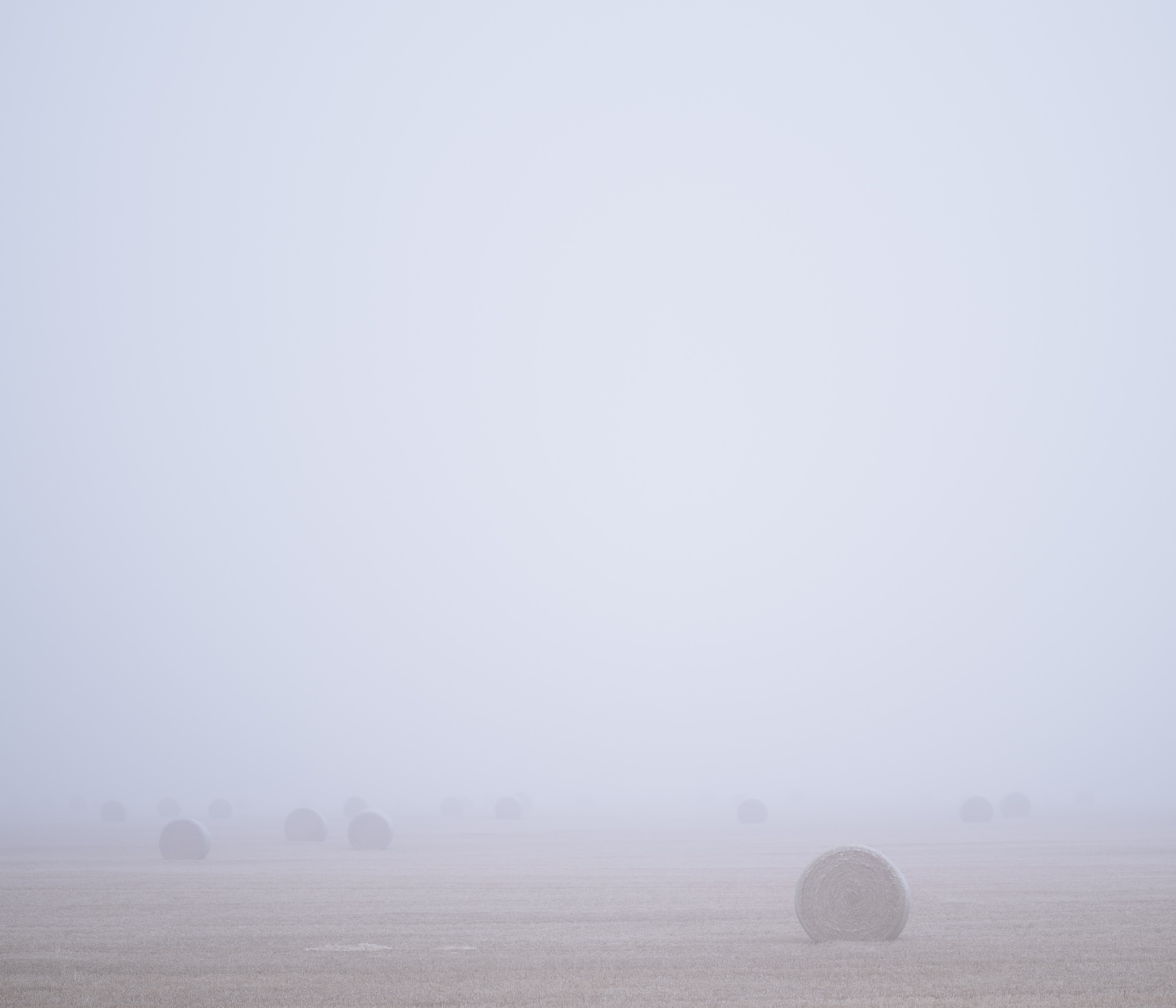 Round hay bales receding into dense winter fog.