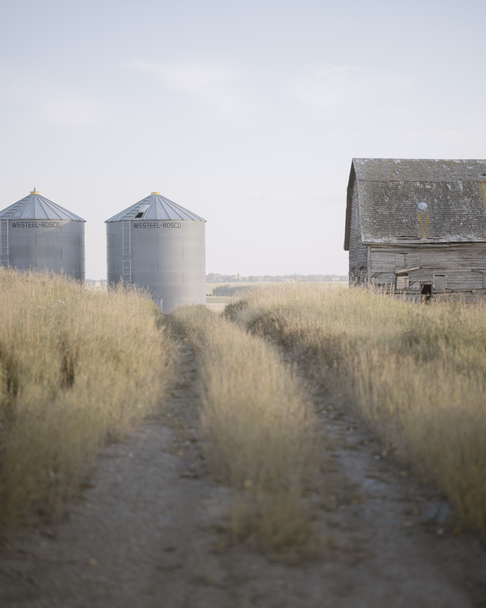 A grassed farm track leading between two grain bins and an old barn.