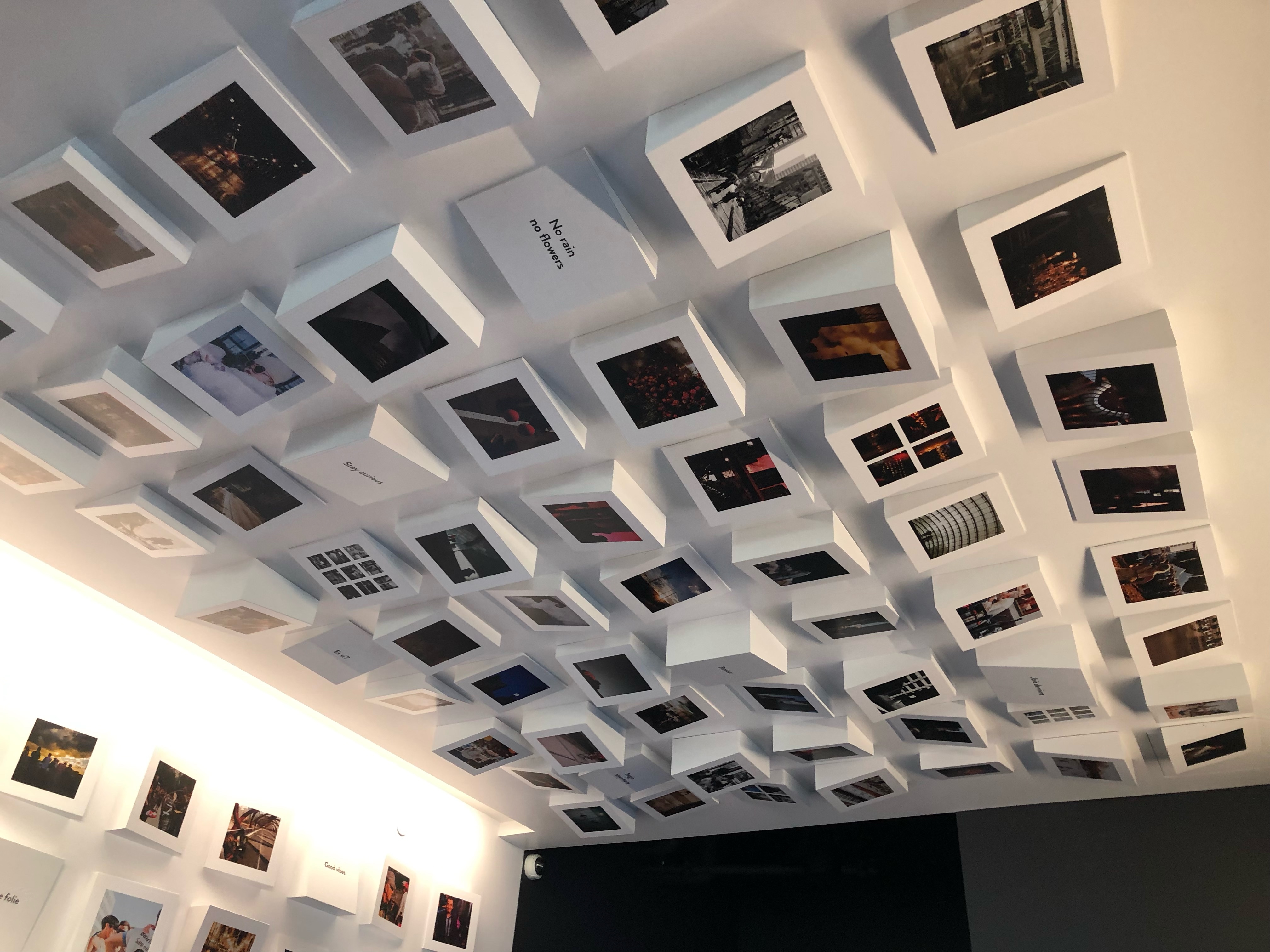Calgary street photographs extending from the lobby wall across the ceiling at Alt Hotel Calgary.