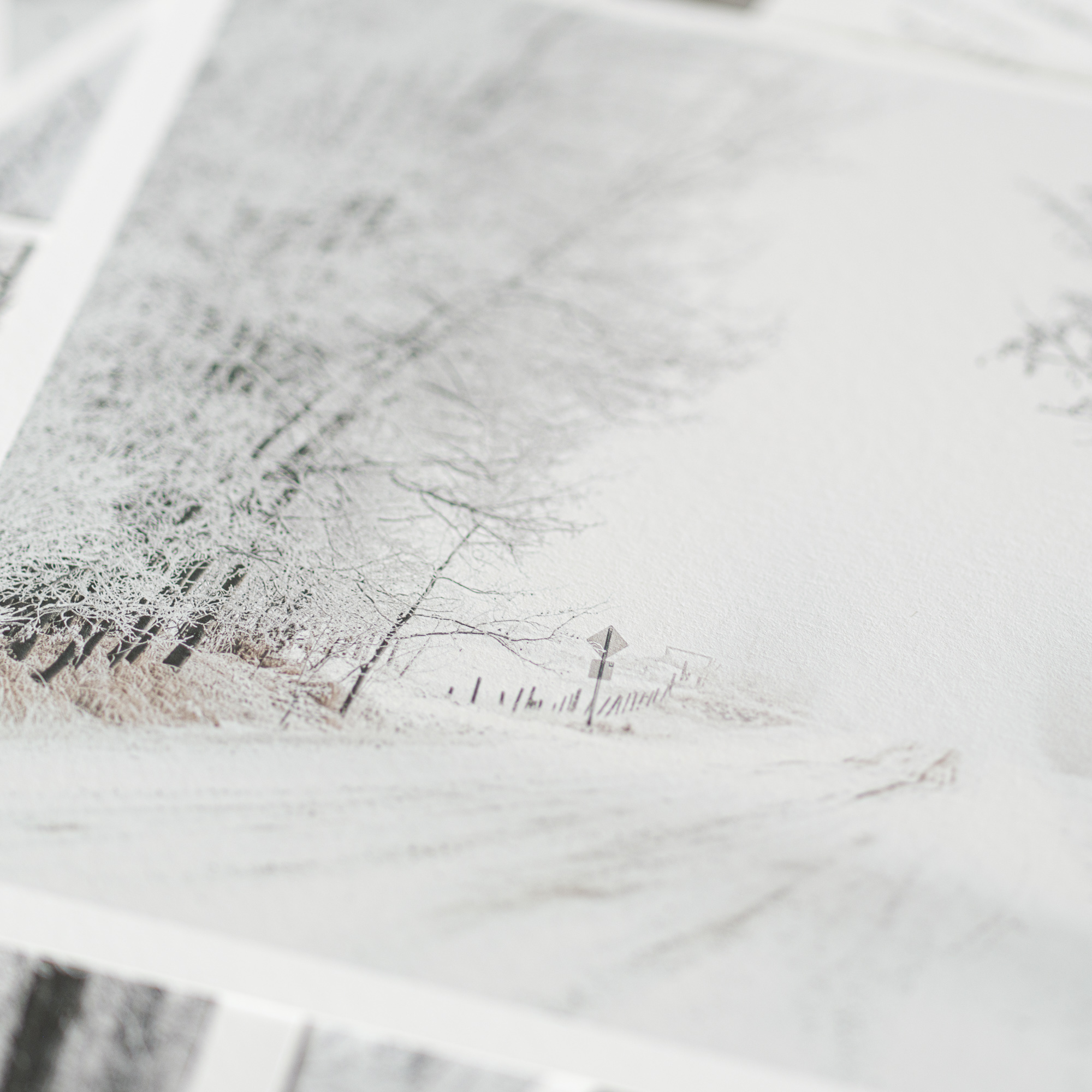 Close view across the textured surface of a photographic print.